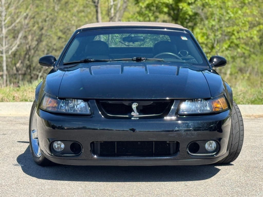 2003 Ford Mustang Cobra