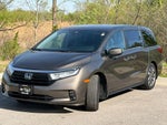 2023 Honda Odyssey EX-L FWD