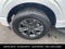 2023 Ford F-150 XLT 5.0 V8 LONG BOX