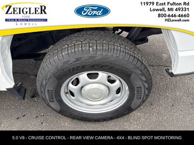 2024 Ford F-150 XL 5.0 V8