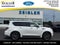 2022 Nissan Armada Platinum REAR DVD
