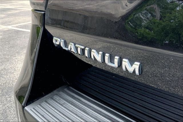 2020 Ford Expedition Platinum