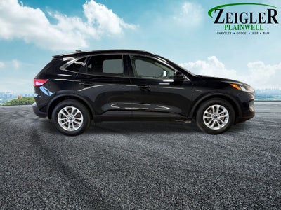 2020 Ford Escape SE Exterior Parking Camera Rear