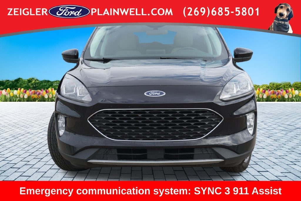 2022 Ford Escape Hybrid SEL