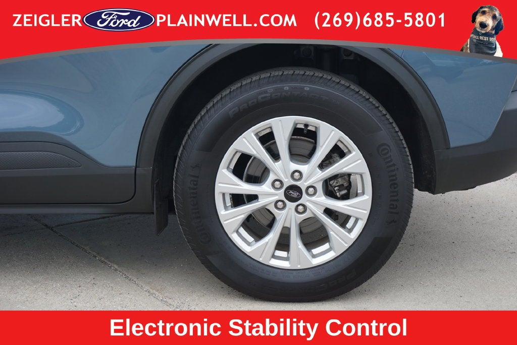2023 Ford Escape Active AWD Rear Camera
