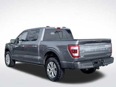2021 Ford F-150 Platinum