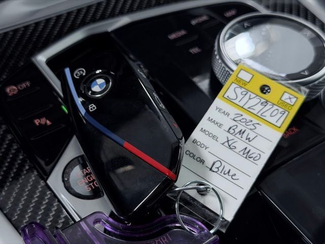 2025 BMW X6 M60i