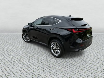 2024 Lexus NX NX 350 Luxury